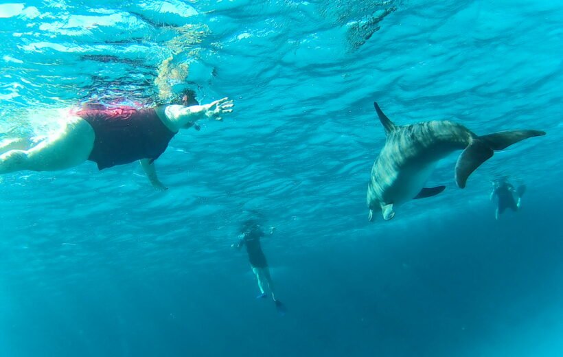 Unforgettable Dolphin House Adventure in Hurghada