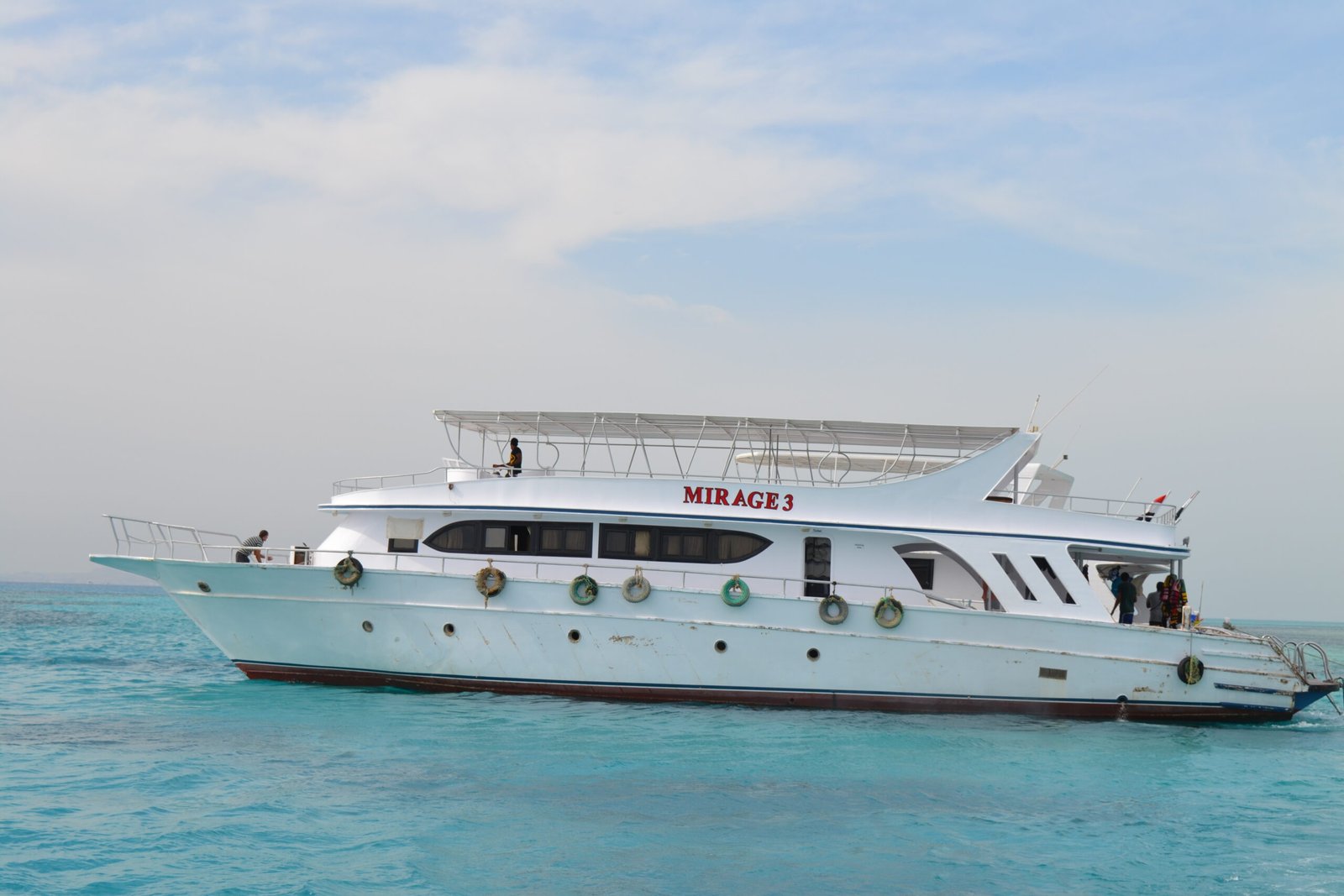 watching dolphin boat tour with Snorkeling and Lunch