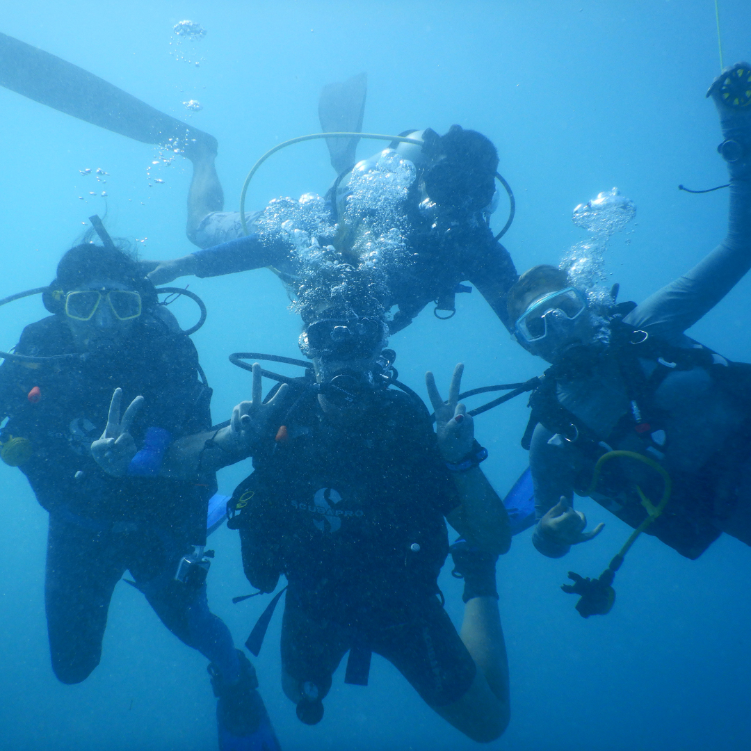 Red Sea Discovery: 8-Night Scuba Diving