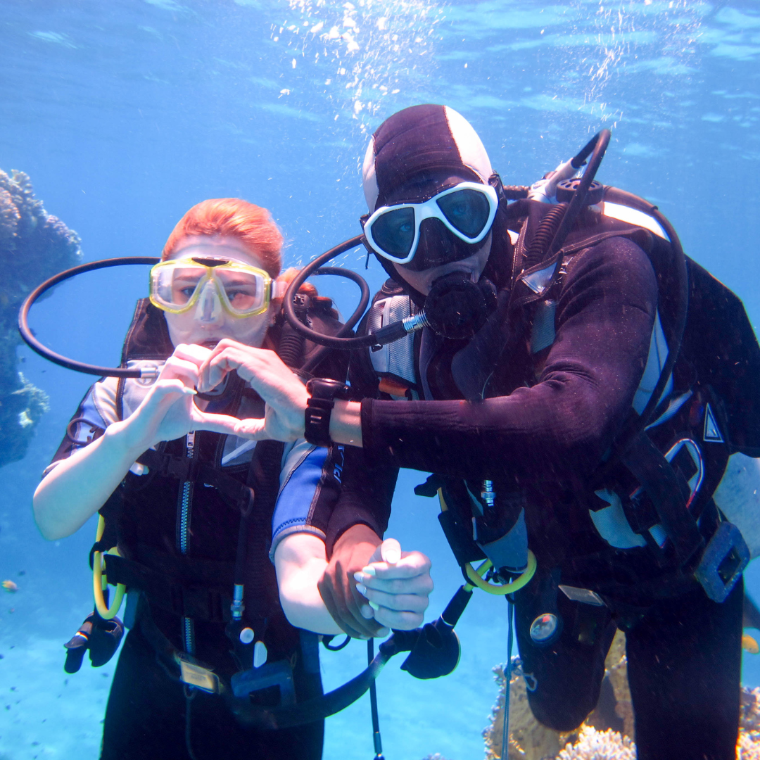Red Sea Discovery: 8-Night Scuba Diving