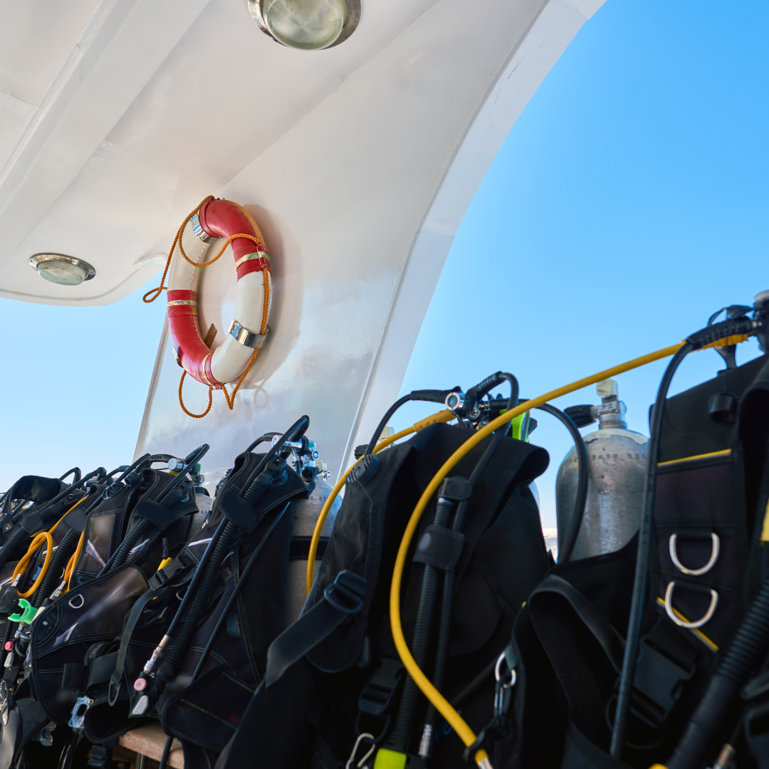 Red Sea Discovery: 8-Night Scuba Diving